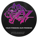 Team logo